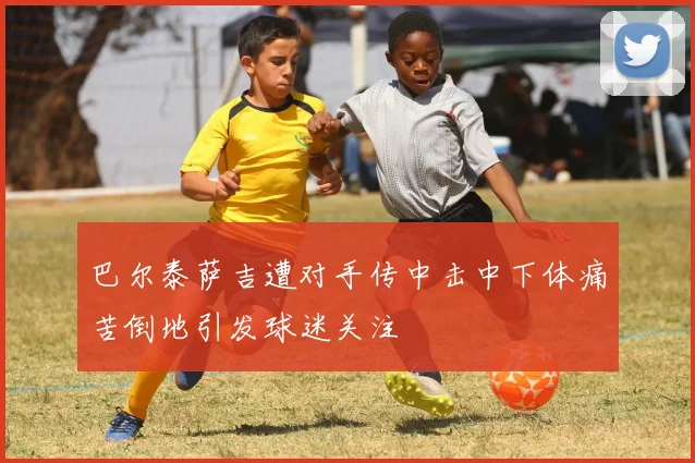 巴尔泰萨吉遭对手传中击中下体痛苦倒地引发球迷关注