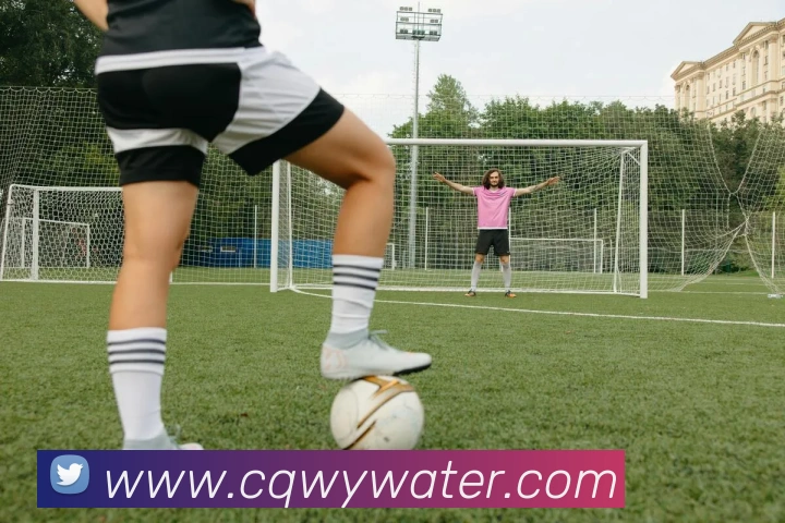 App Interface Preview