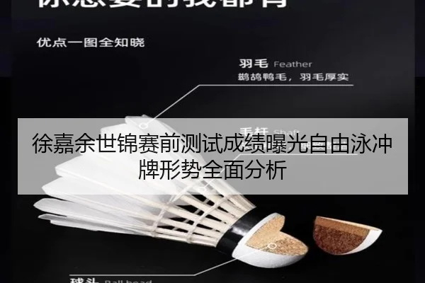 徐嘉余世锦赛前测试成绩曝光自由泳冲牌形势全面分析
